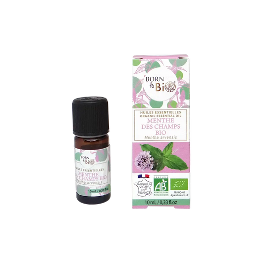 Huile essentielle Menthe des champs Certifiée Bio-0