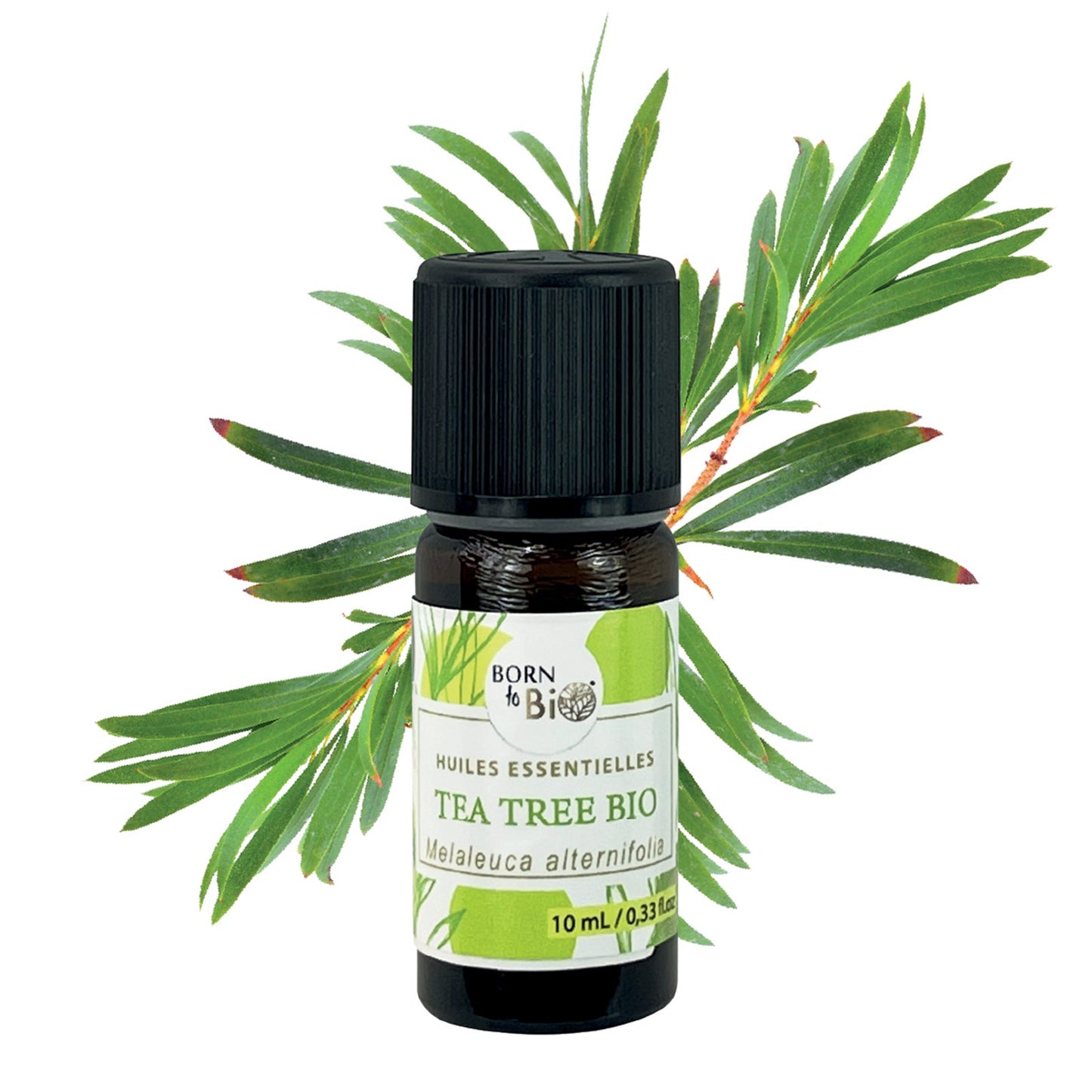 Huile essentielle Tea tree Certifiée Bio-0