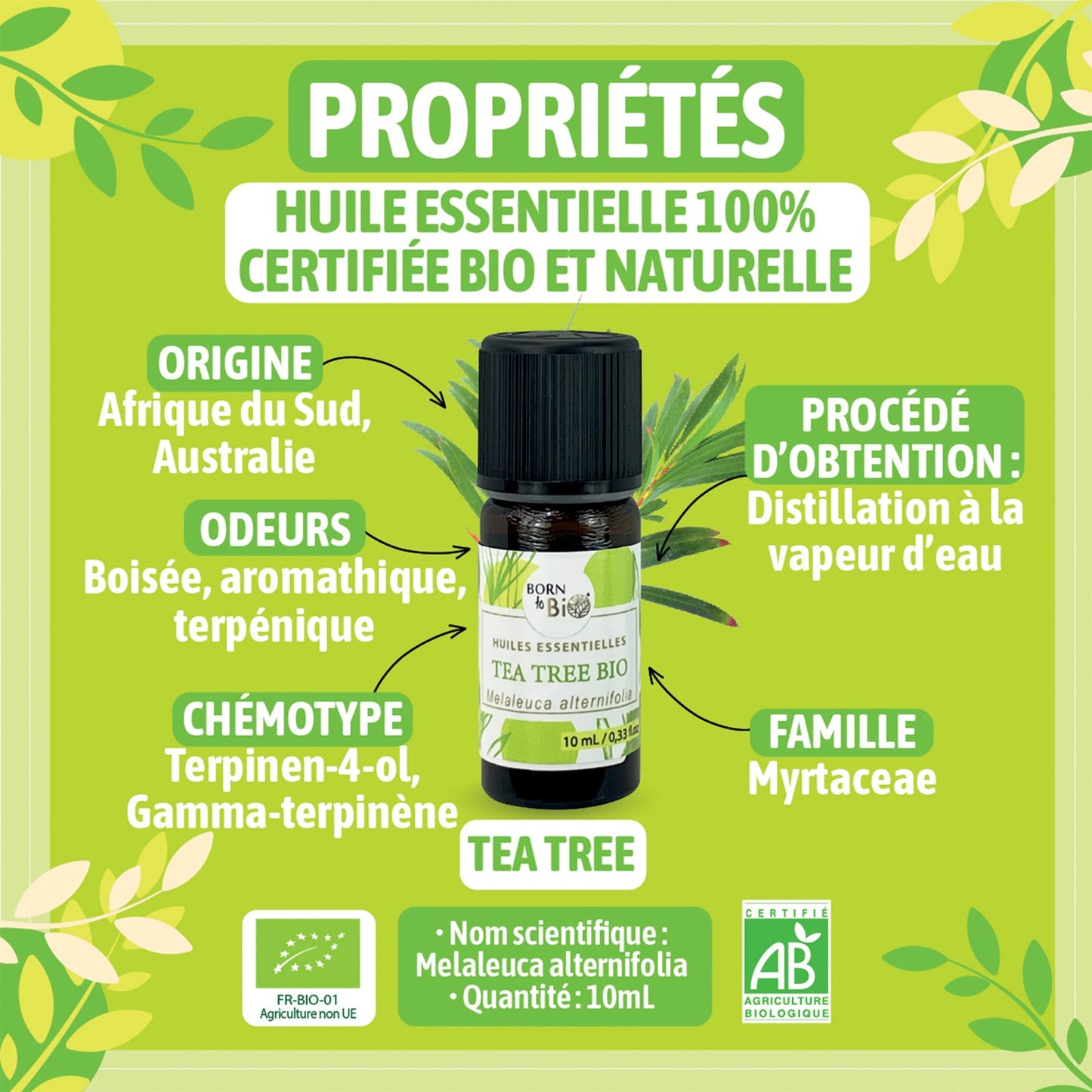 Huile essentielle Tea tree Certifiée Bio-1