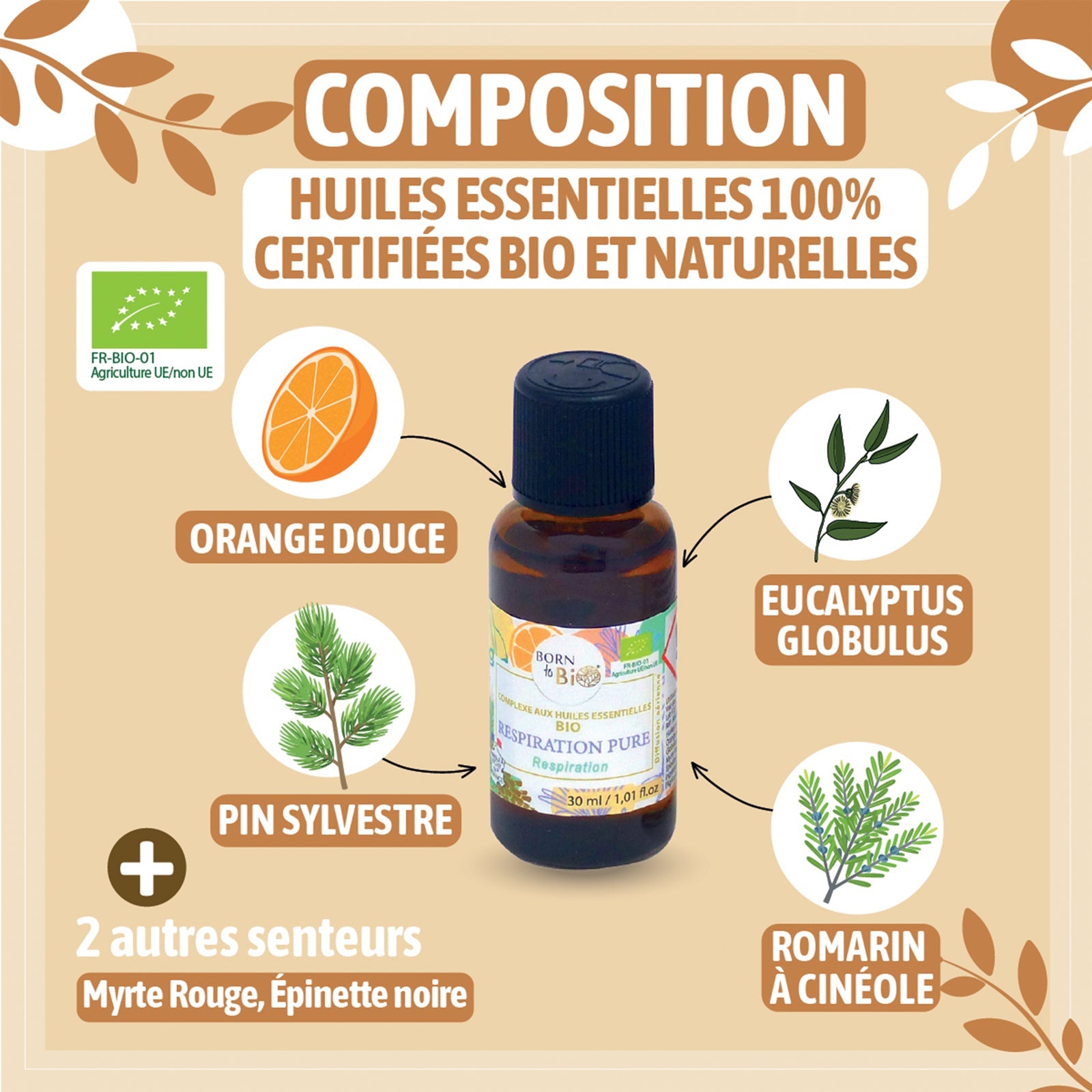 Respiration pure - Complexe aux huiles essentielles Certifiées Bio-1