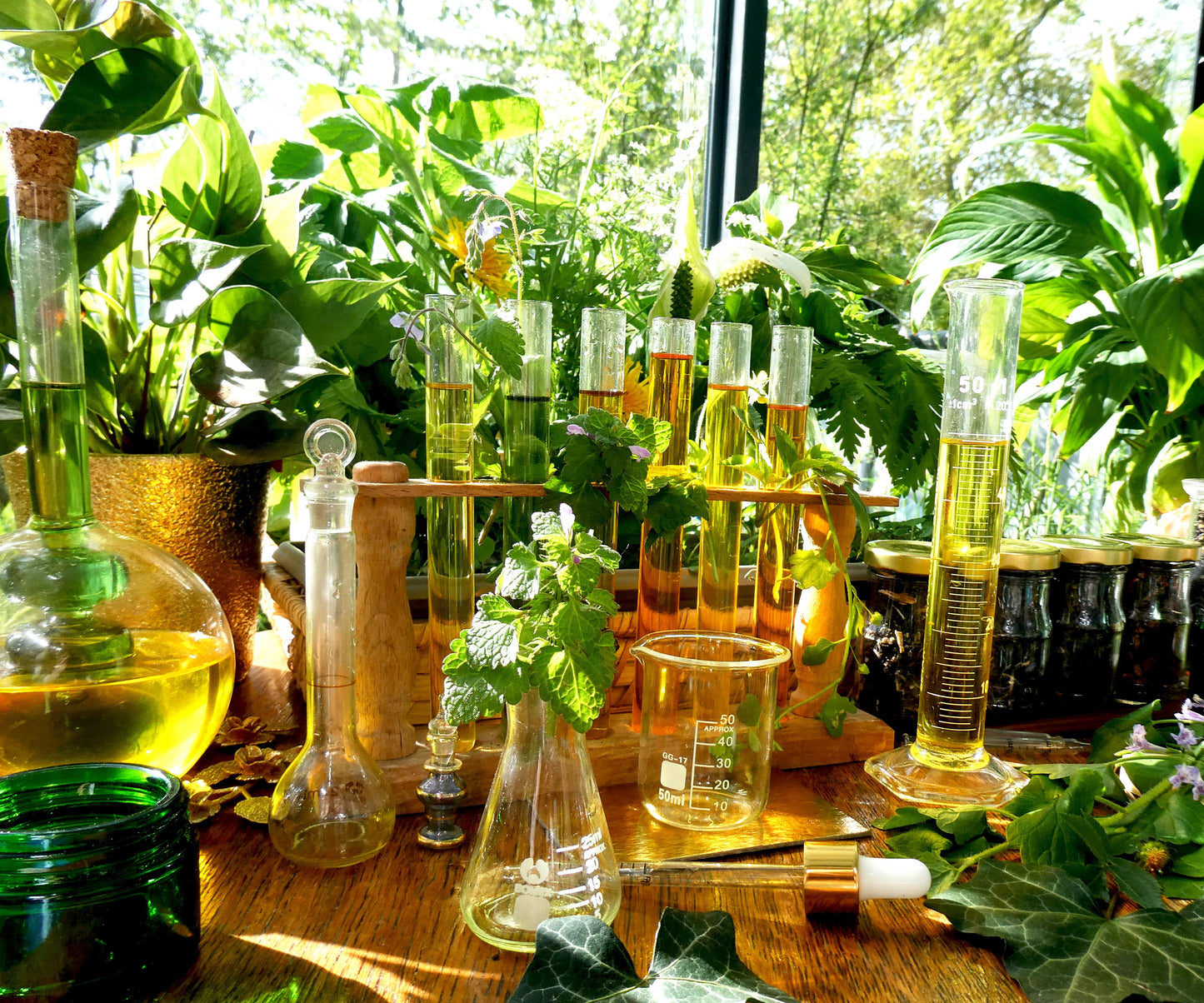 DROP - MERVEILLE DES LANDES BIO - regeneracijski tretma za občutljivo kožo